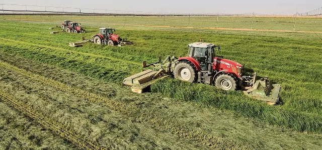 ارتفاع المساحات المزروعة بالقضارف إلى 5.7 مليون فدان والتمويل إلى 447.6 تريليون