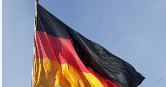 ألمانيا تصدر تحذيرا بشأن الملاريا بعد رصد حالات فى مطار فرانكفورت