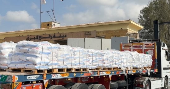 صندوق تحيا مصر يطلق غدا قوافل إغاثية شاملة إلى قطاع غزة