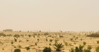 العاصفة الترابية تصل شمال سيناء والمحافظة ترفع درجة الاستعداد القصوى.. صور