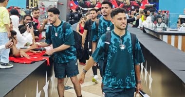 الإعلام الأفريقي: احتفالات المصريين جسدت عشق القارة لكرة القدم