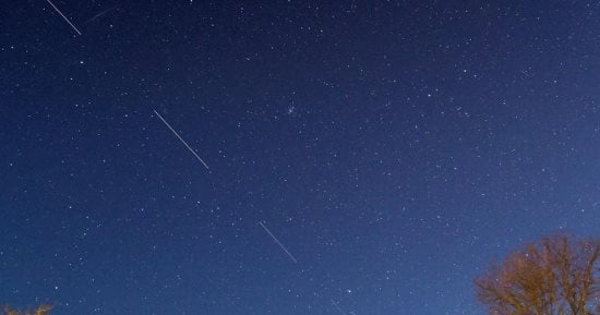 إدارة ترامب تنفى صلتها بالقيود على عمل ستارلينك في أوكرانيا