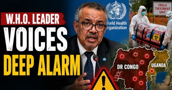 CDC: علماء متخصصون فى إيبولا يحققون فى منشأ الإصابة بالفيروس بنيجيريا