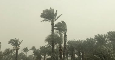 العظمى بالقاهرة 35.. الأرصاد: ارتفاع الرطوبة غدا يزيد الإحساس بحرارة الطقس