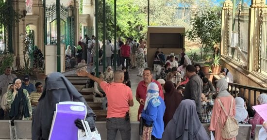 تنسيق الشهادات المعادلة.. رابط موقع التنسيق لتسجيل الرغبات
