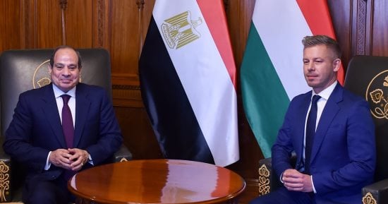 فخامة الرئيس السيسى: تهجير الفلسطينيين ستكون له تداعيات وخيمة تمتد لأوروبا