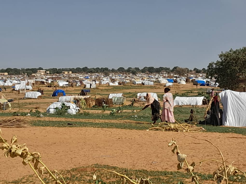بمناسبة اليوم العالمي للسلام دعوات من شرق تشاد ودارفور لوقف الحرب في السودان
