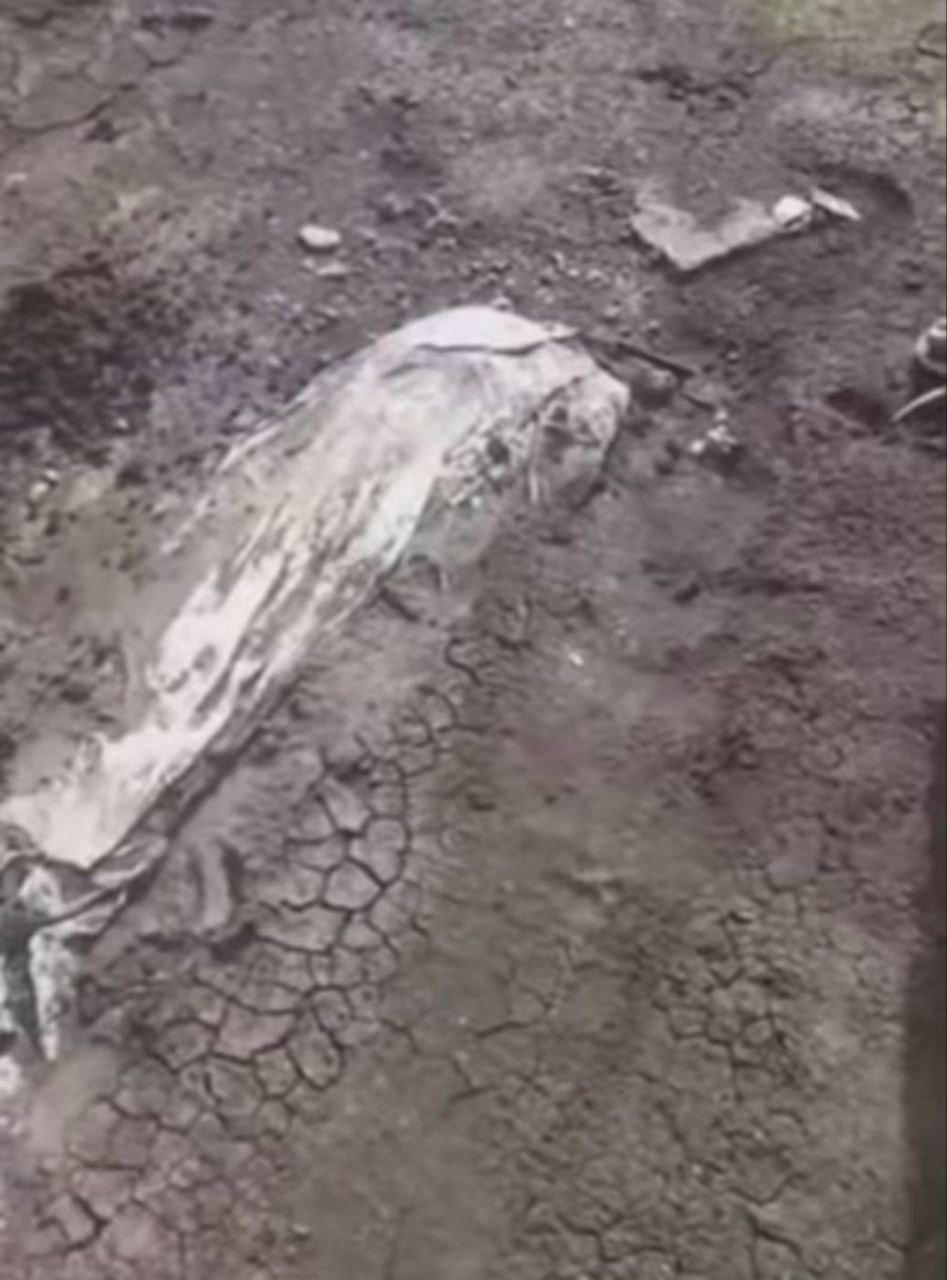 أمطار غزيرة تجرف جثامين الموتى من مقبرة في القضارف  