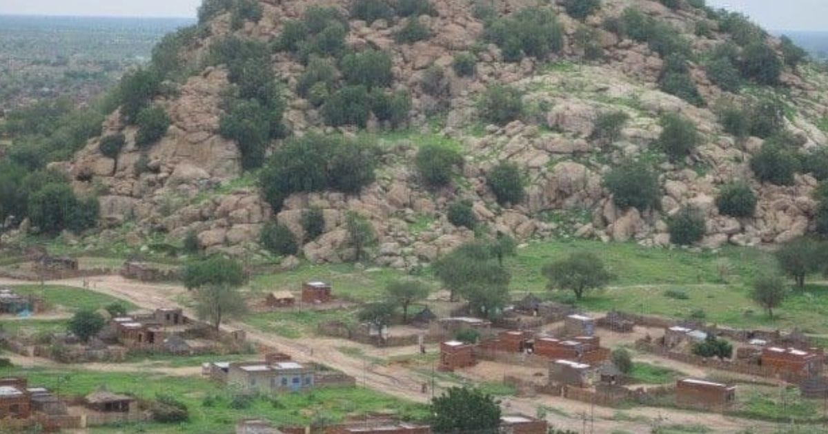 كارثة في كردفان بتدمير أشجار الهشاب  