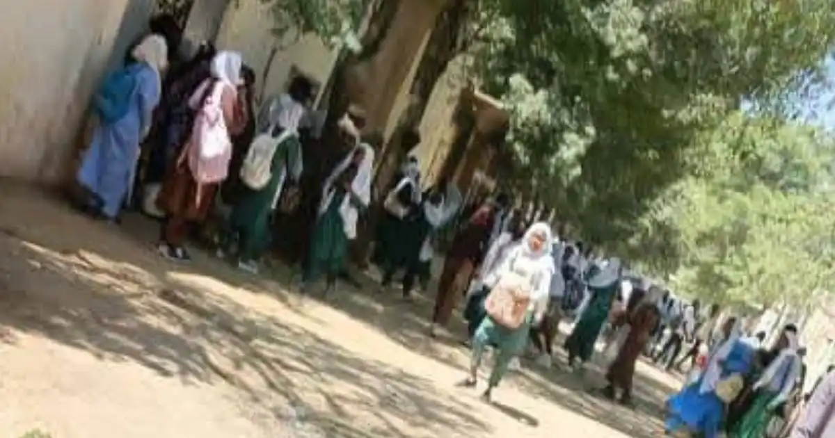 تشاديون يطلقون حملة لنظافة مدرسة الصداقة السودانية التشادية  