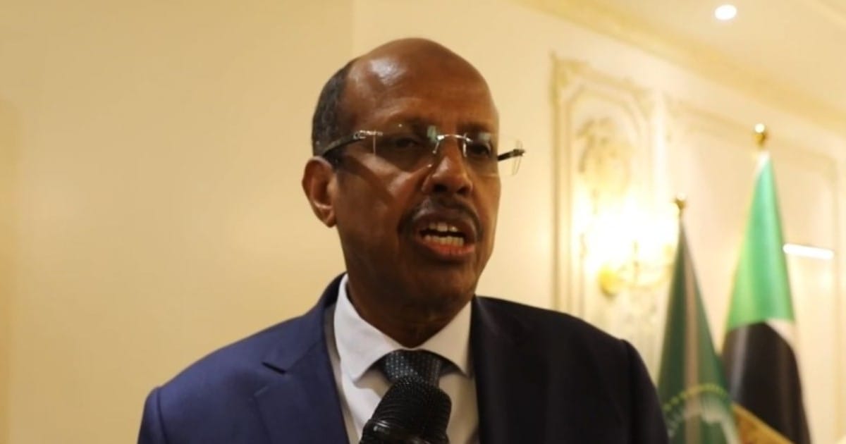 الاتحاد الأفريقي يصدر بيانا بشأن ضربات جوية استهدفت متحركا للدعم السريع داخل تشاد  