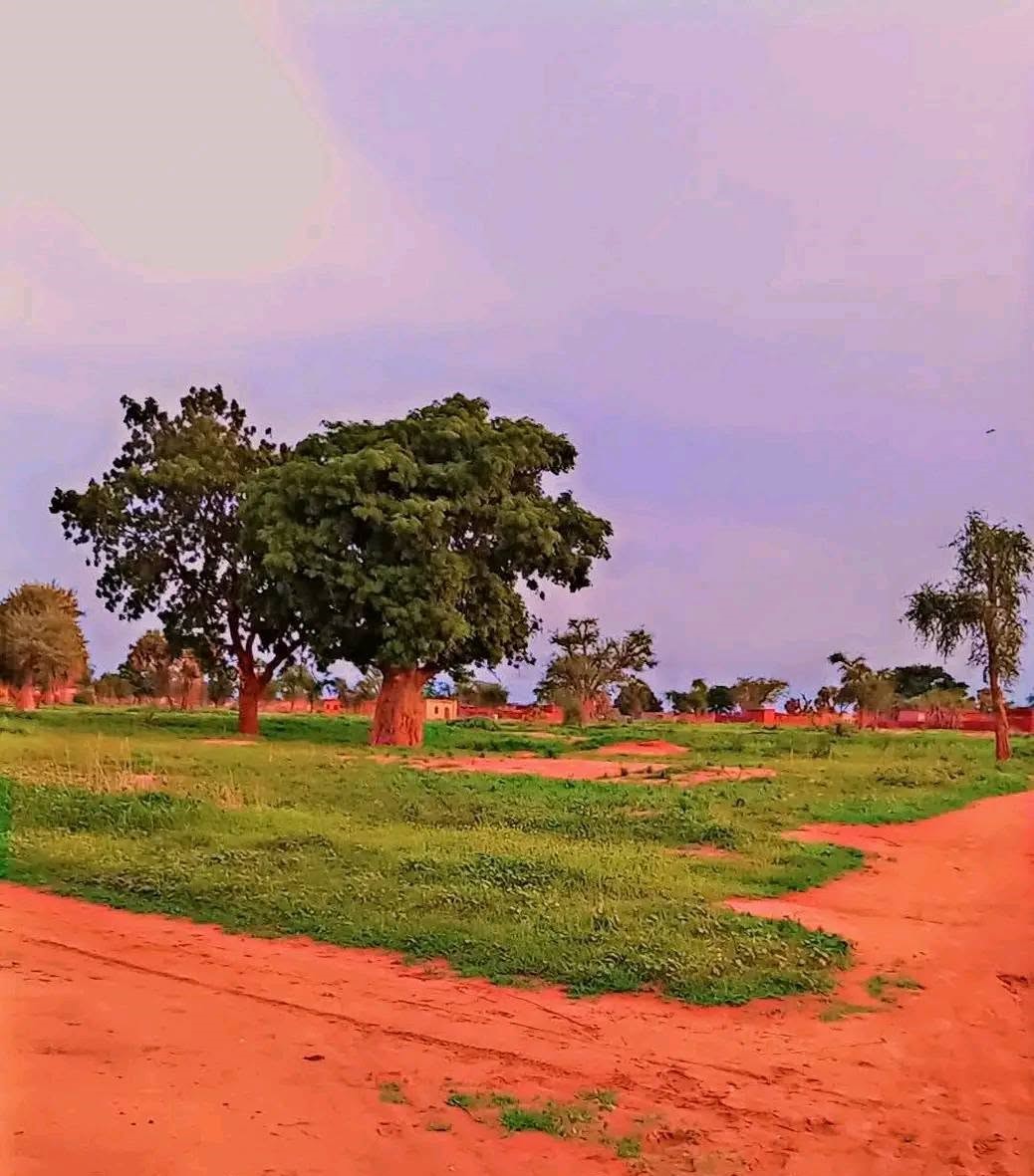 الجيش السوداني يحرر منطقتين في عمليات نوعية ويقترب من فتح الطريق القومي الدلنج الأبيض  