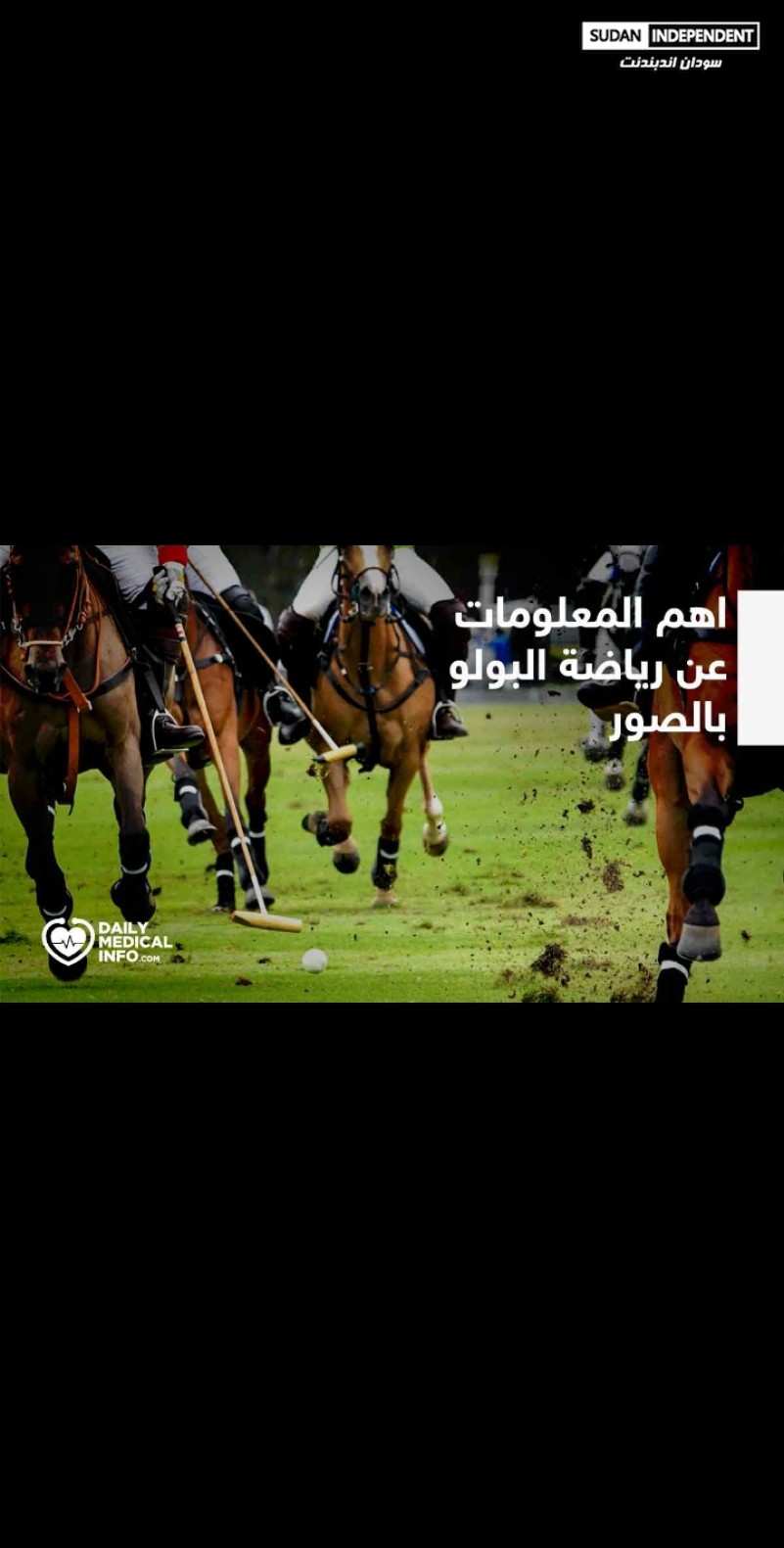 ماذا تعرف عن رياضة البولو020 ماذا تعرف عن رياضة البولو