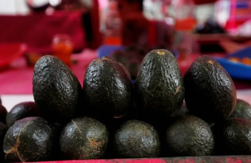 كيف يؤثر تناول الأفوكادو بانتظام في ضغط الدم