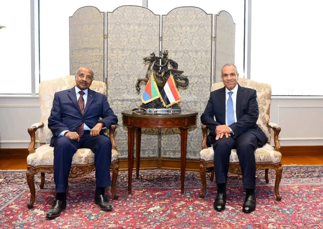 القاهرة تطالب بتفعيل مجلس البحر الأحمر سريعا لحفظ الأمن الجماعي