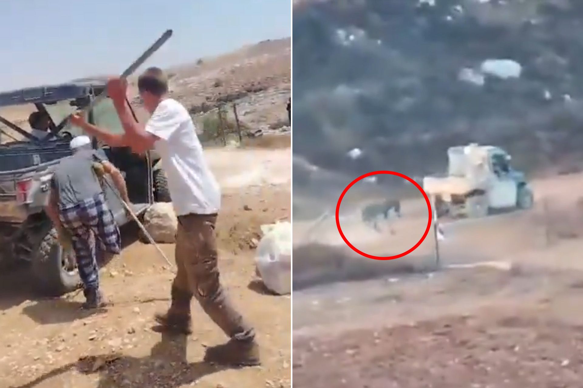 ضرب مسن وسحل حيوان.. مشاهد مروعة لإرهاب المستوطنين بالضفة
