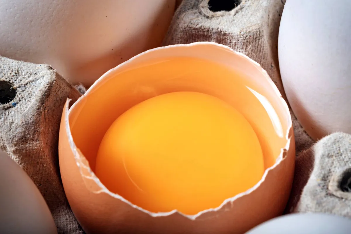 تناول 5 بيضات أسبوعيا قد يقلل من خطر الإصابة بمرض ألزهايمر