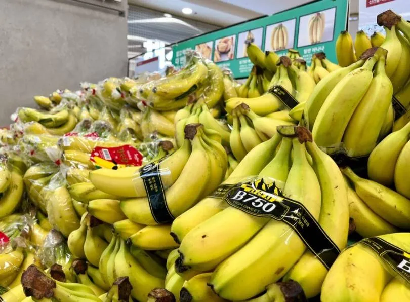 ما فوائد تناول الموز لمرضى القلب