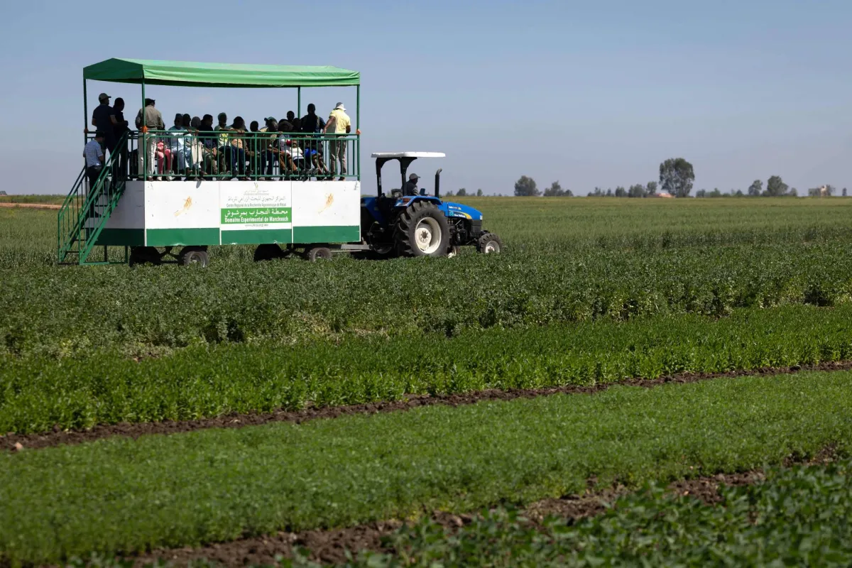 تحذير: حرب إيران قد تهدد الإمدادات الغذائية العالمية