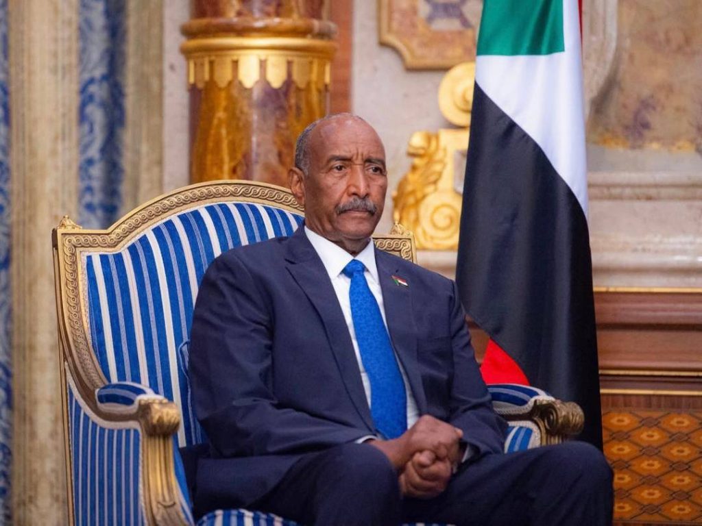 البرهان : يجب التعاضد لمواجهة أي تمرد أو حرب بالوكالة على البلدان الأفريقية