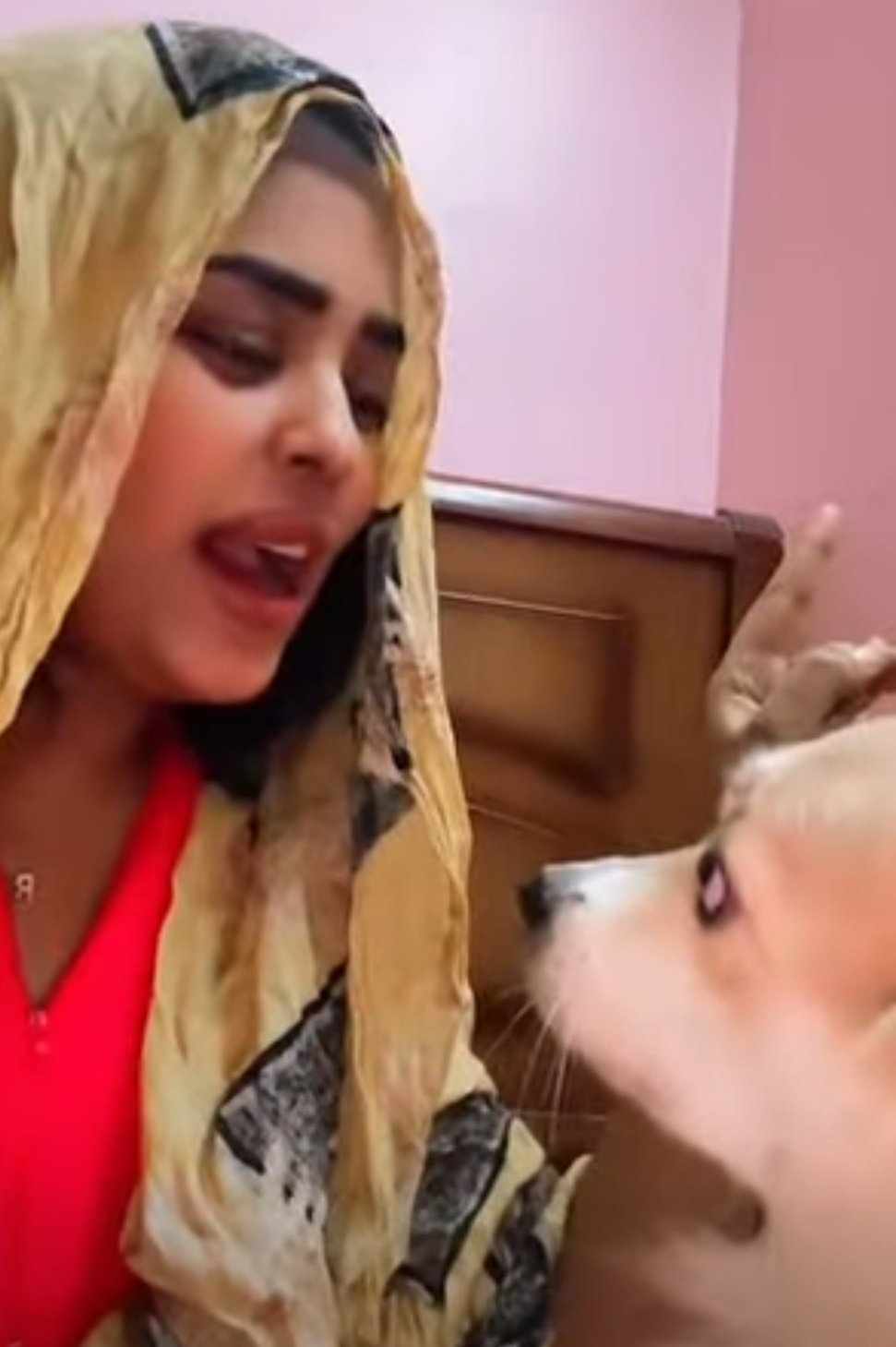 شاهد بالصورة والفيديو.. حسناء سودانية تعلم كلبتها طريقة النواح والبكاء وسط النساء لحظة العزاء وساخرون: الحرب دي ما خلت زول نصيح020 شاهد بالصورة والفيديو.. حسناء سودانية تعلم كلبتها طريقة النواح والبكاء وسط النساء لحظة العزاء وساخرون: الحرب دي ما خلت زول نصيح