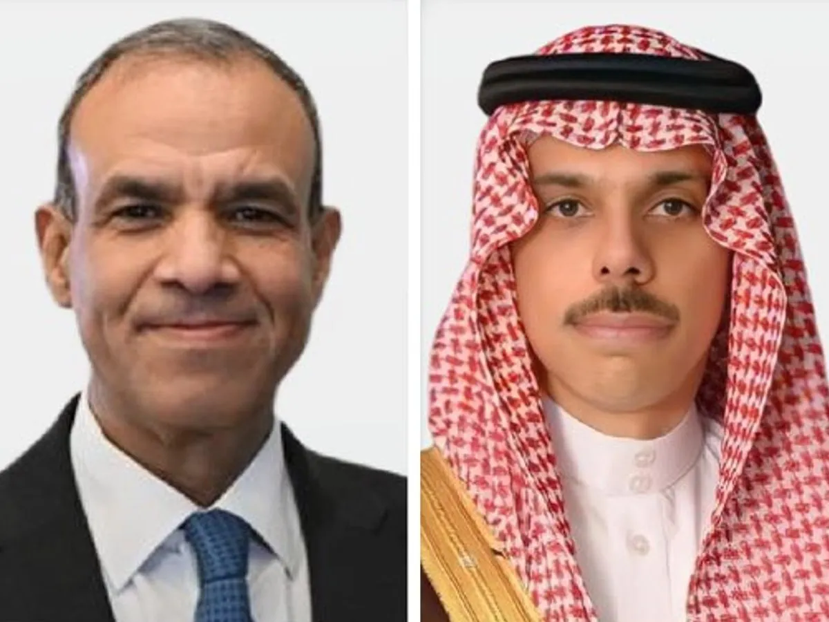 وزيرا خارجية السعودية ومصر يناقشان مستجدات المنطقة