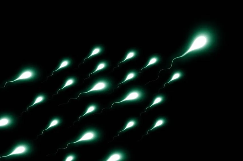 دراسة: الحيوانات المنوية تسبح بسرعة أكبر في الصيف