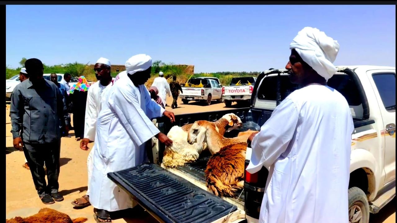 دعما عينيا لجيش الفاشر  