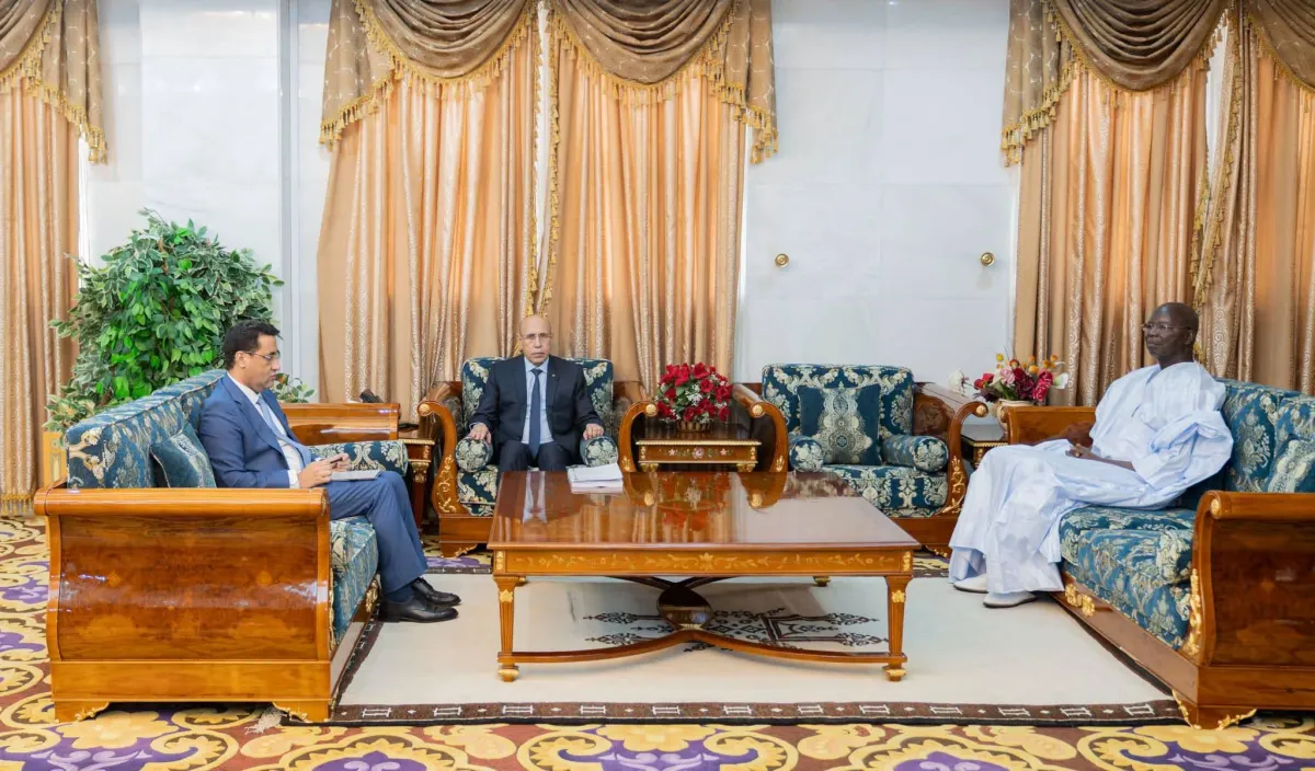 الرئيس الموريتاني يأمر بمحاسبة الضالعين بإغراق العاصمة في الظلام