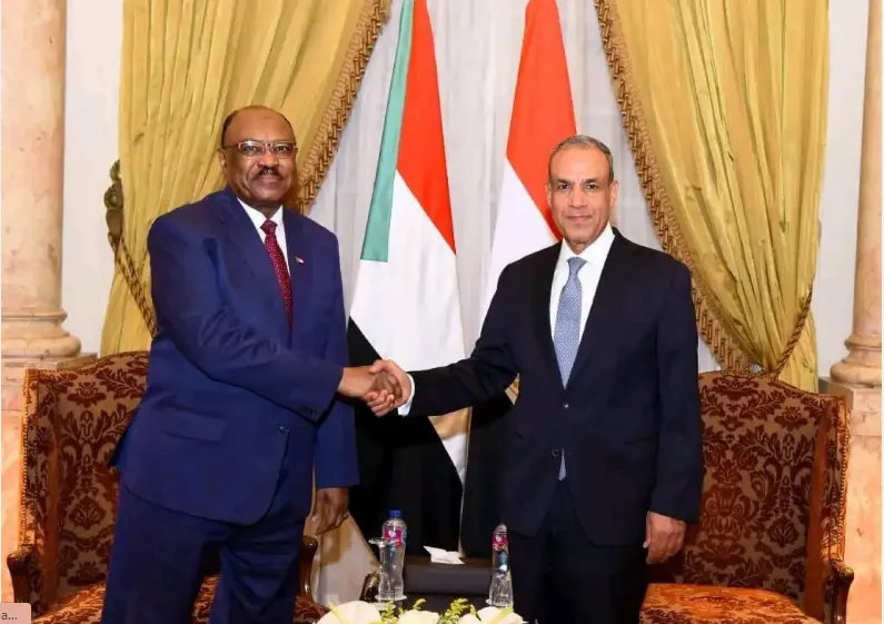 مصر تشدد على وحدة السودان ضمن تسوية سياسية شاملة