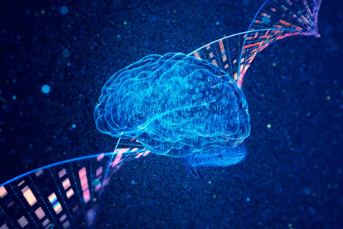 أطلس جديد يكشف كيف يتغير الدماغ مع التقدم في العمر