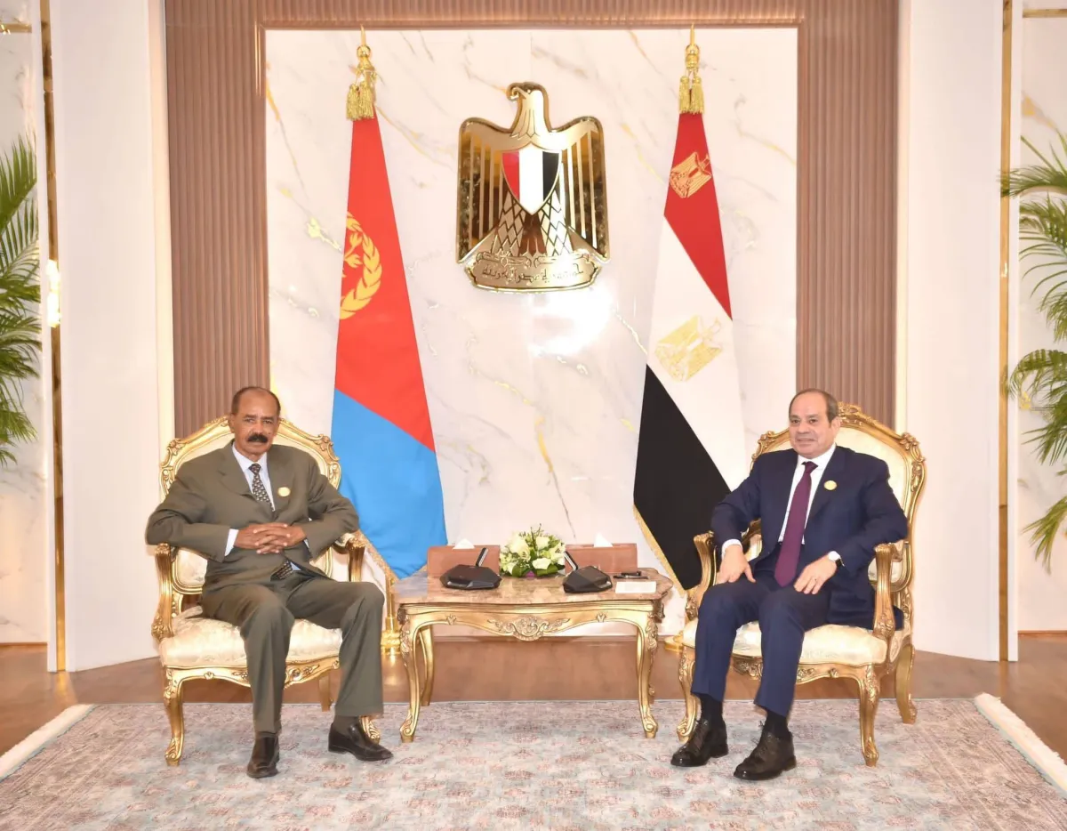 مصر تنسق مع إريتريا والسودان والصومال بشأن اضطرابات القرن الأفريقي