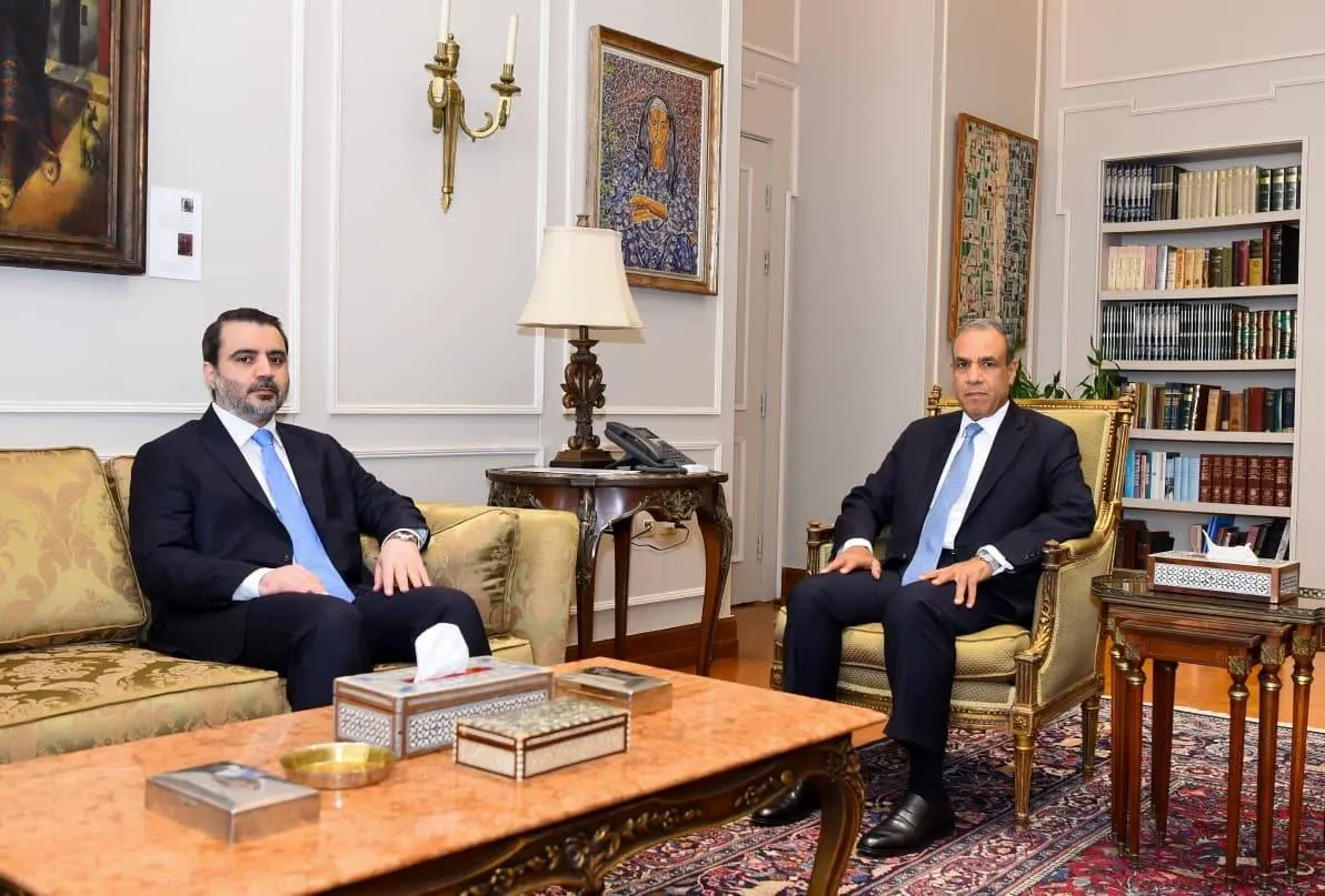مصر تجدد رفض التدخلات الخارجية في شؤون سوريا