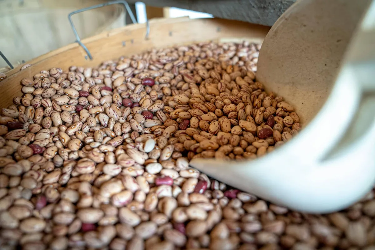 تكره الفاصولياء 7 أطعمة تمنحك الألياف بسهولة