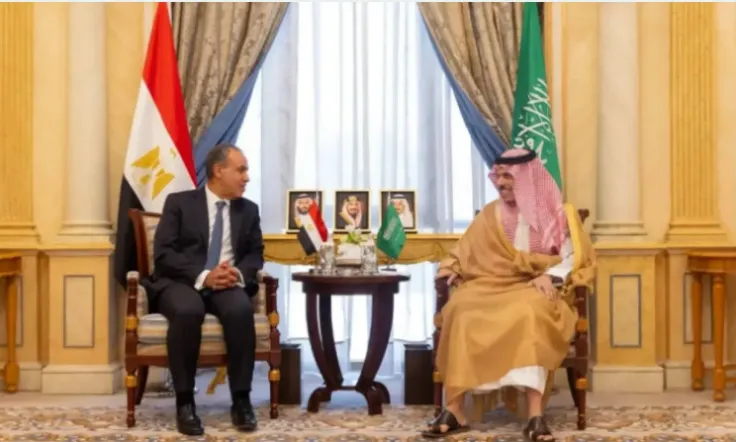 السعودية ومصر تطالبان بوقف فوري لجميع الأعمال التصعيدية في المنطقة