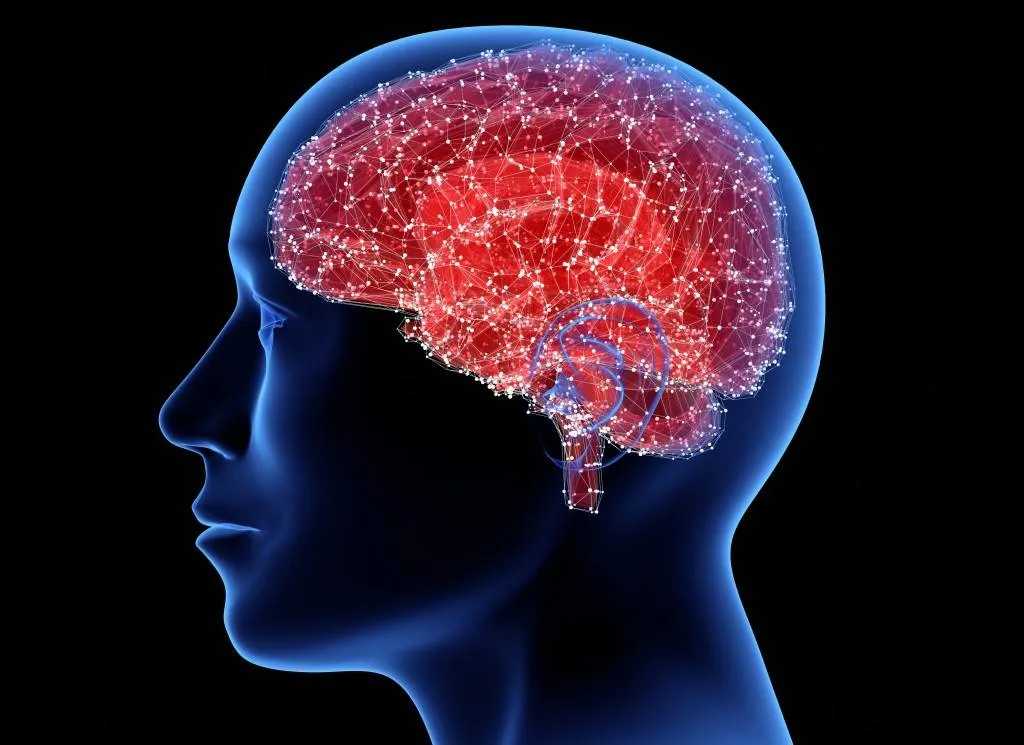 أفضل 5 أطعمة أرجوانية تعزز صحة الدماغ020 أفضل 5 أطعمة أرجوانية تعزز صحة الدماغ