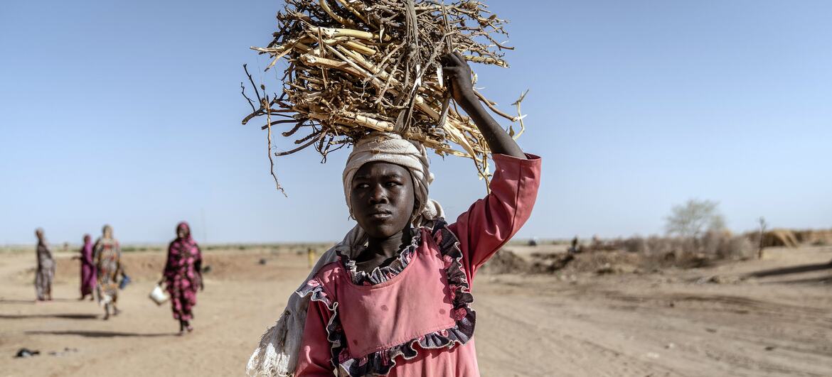 المنظمة الدولية للهجرة تجدد التحذير من نفاد الإمدادت في السودان خلال أقل من أسبوعين