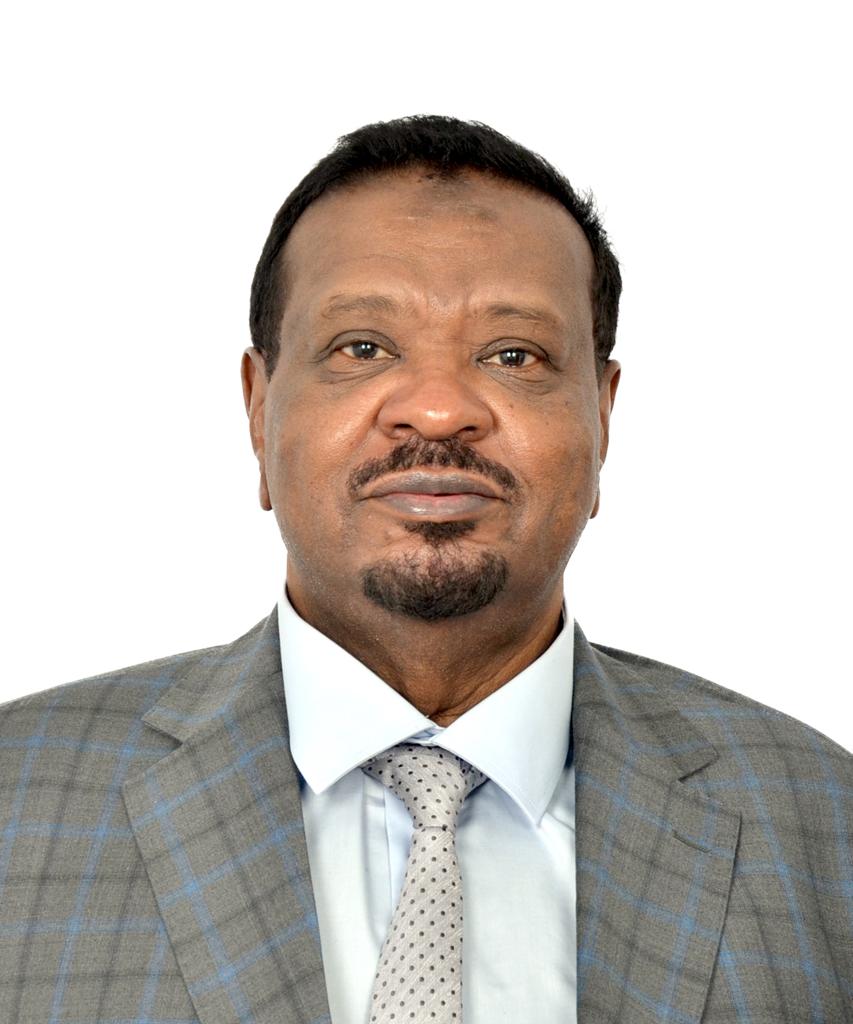 مالك دنقلا يكتب:  الخرطوم انقرة رحلة البحث عن شركاء للتنمية وإعادة إعمار السودان والتنفيذ 22  