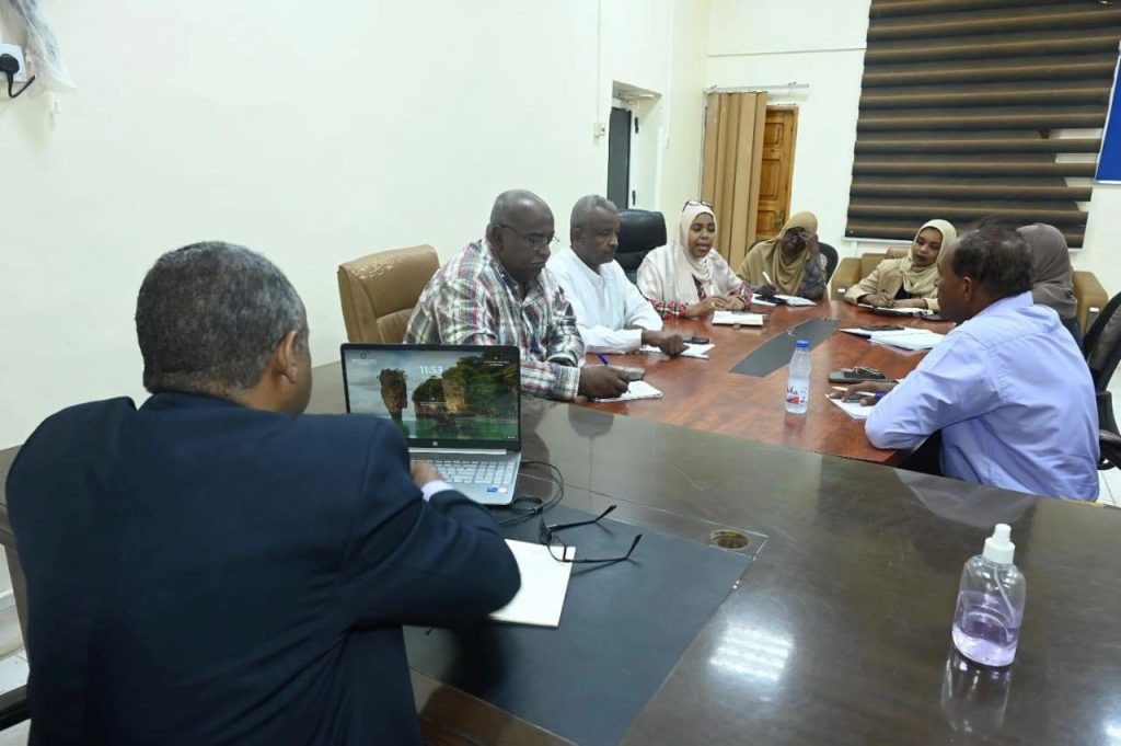 السودان.. اعتماد 6 مناطق صناعية للأدوية