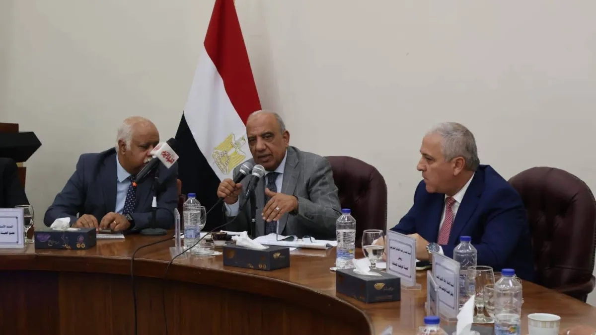 الربط الكهربائي السعودي  المصري يقترب من التشغيل