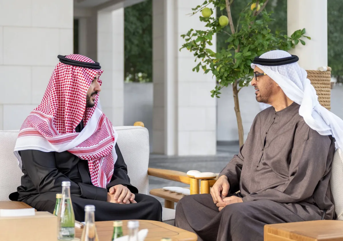 لقاء سعودي إماراتي يبحث سبل تحقيق أمن المنطقة020 لقاء سعودي إماراتي يبحث سبل تحقيق أمن المنطقة