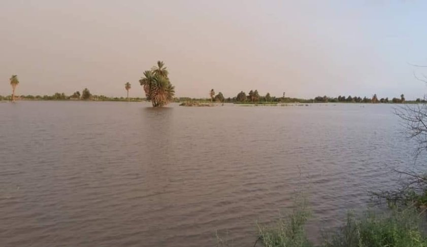 الأرصاد تحذر من خطورة أمطار غزيرة خلال الساعات القادمة  