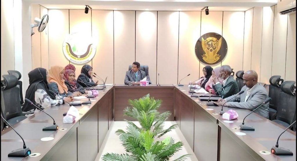 السودان يحدد موعد بدء تصدير اللحوم