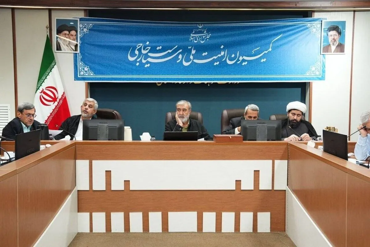 لجنة برلمانية إيرانية تقر رسوما على سفن هرمز